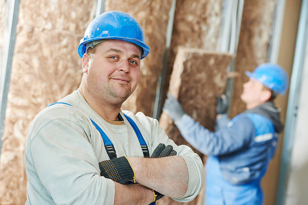 Best Spray Foam Insulation  in , MD