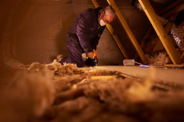 Best Soundproof Insulation Installation  in , MD